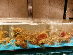 水产区-Mr·Fish鱼鲜生海鲜放题(银泰in99店)