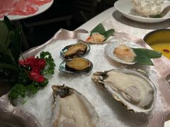 -汤城·料青山