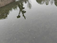 -合肥野生动物园