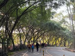 -大雁山风景区