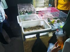 -中环花鸟鱼虫市场