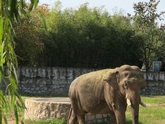-西安秦岭野生动物园