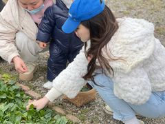 -九善农植有机生活农场