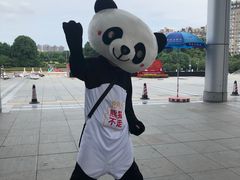 -熊猫不走蛋糕（同城送）(长沙店)