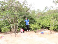 -宝安西湾红树林湿地公园