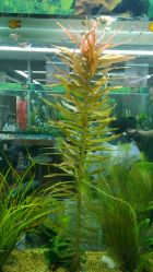 android_upload_pic-小左美发