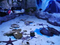 -多彩贵州城极地海洋世界