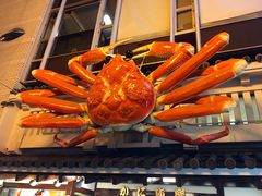 -蟹道乐(道顿堀本店)