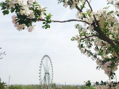 -石家庄市植物园