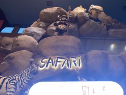 -卡通尼·Safari非洲探索乐园·生日会(金桥国际商业广场店)