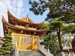 -上海东林寺(金山区)