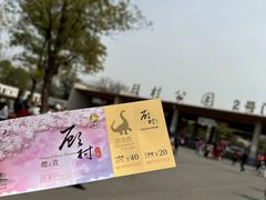 -自然谷恐龙园