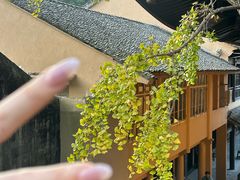 -大罗山风景区