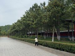 -横店圆明新园
