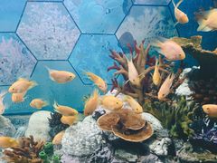 -福州罗源湾海洋世界旅游区