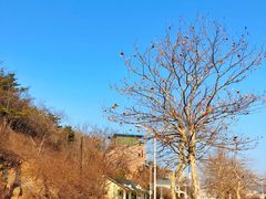 -大连星海广场音乐喷泉