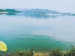 -望湖烤鱼