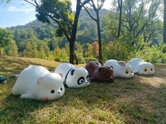-云溪植物园