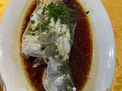 清蒸鲈鱼-老字号蛇口德记烧腊饭店·海鲜加工