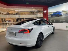 -TESLA 特斯拉(郑州正弘城体验店)