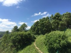 -关山草原