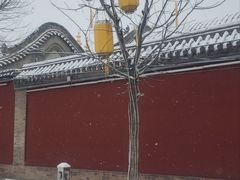 -老绥元烧麦·家常菜(如意店)