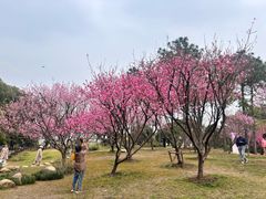 -无锡蠡湖国家湿地公园-蠡园
