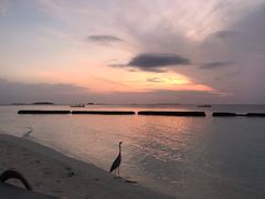 -中央格兰德岛温泉度假酒店 - 全包