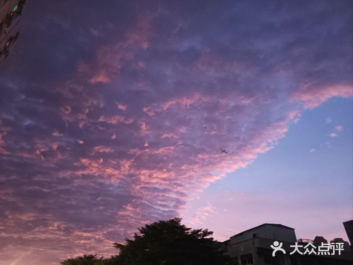 宝安西湾红树林湿地公园图片