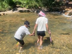 -广州白江湖森林公园