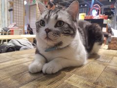 -小时光咖啡馆(开森度假森林店)