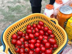 -钟山体育运动公园