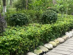 -合肥滨湖国家森林公园