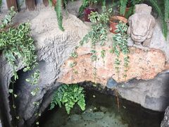 -丽江花间堂·隐泉院