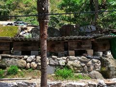 -光雾山旅游景区