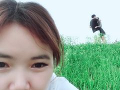 -大塘金香草谷