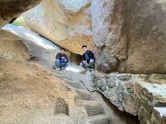 -鲁山国家森林公园