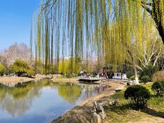 -堤角公园