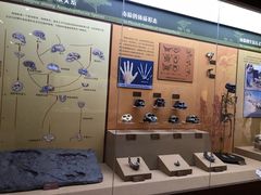 游乐设施-国家自然博物馆