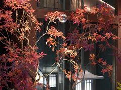 -椿杨樘·明康泡浴养生馆(重庆店)