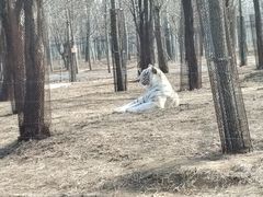 -秦皇岛野生动物园
