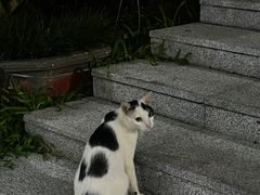 -广州市白云山风景名胜区