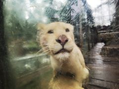 -贵州森林野生动物园