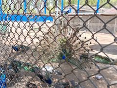 -森林公园(尖草坪区)