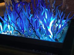 -浅深Cheersum(曹杨店)