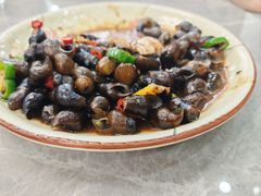 -银峰农庄·特色烧鸡·鲜无花果浸鸡
