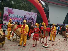 -南宁花花大世界景区