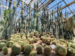 -南山植物园