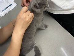 -爱侣宠医·鹦鹉专科·小型哺乳类·异宠专科(灵石路店)