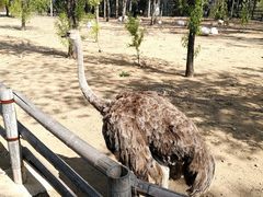 -大连森林动物园